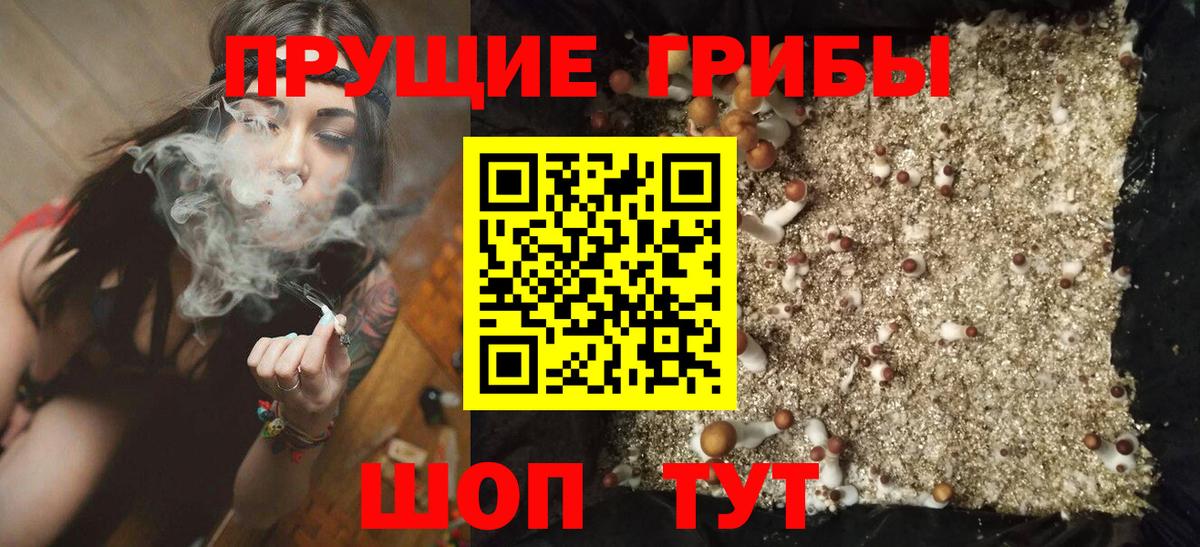 Куйбышев  Псилоцибиновые грибы Cubensis  Вход с VPN  купить наркоту  Псилоцибиновые грибы Magic Shrooms 